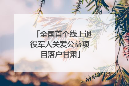 全国首个线上退役军人关爱公益项目落户甘肃