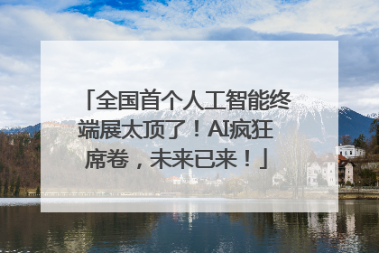 全国首个人工智能终端展太顶了！AI疯狂席卷，未来已来！