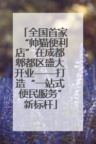 全国首家“帅猫便利店”在成都郫都区盛大开业——打造“一站式便民服务”新标杆