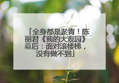 全身都是淤青！陈丽君《我的大观园》幕后：面对滚楼梯，没有做不到