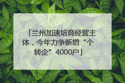 兰州加速培育经营主体，今年力争新增“个转企”4000户