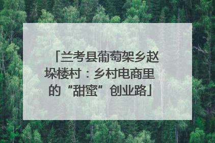 兰考县葡萄架乡赵垛楼村：乡村电商里的“甜蜜”创业路