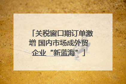 关税窗口期订单激增 国内市场成外贸企业“新蓝海”