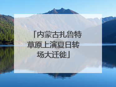 内蒙古扎鲁特草原上演夏日转场大迁徙