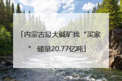 内蒙古最大碱矿找“买家” 储量20.77亿吨