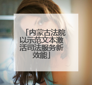 内蒙古法院以示范文本激活司法服务新效能