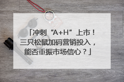 冲刺“A+H”上市！三只松鼠加码营销投入，能否重振市场信心？
