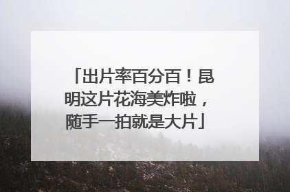 出片率百分百！昆明这片花海美炸啦，随手一拍就是大片