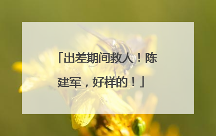 出差期间救人！陈建军，好样的！