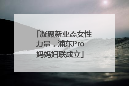 凝聚新业态女性力量，浦东Pro妈妈妇联成立