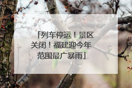 列车停运！景区关闭！福建迎今年范围最广暴雨