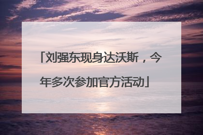 刘强东现身达沃斯，今年多次参加官方活动