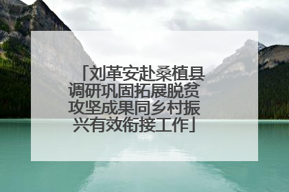 刘革安赴桑植县调研巩固拓展脱贫攻坚成果同乡村振兴有效衔接工作