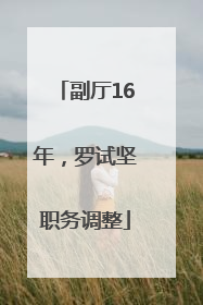 副厅16年，罗试坚职务调整
