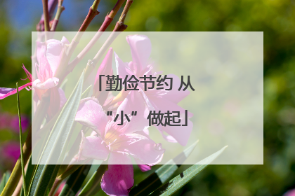 勤俭节约 从“小”做起