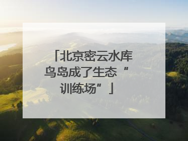 北京密云水库鸟岛成了生态“训练场”