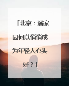 北京：潘家园何以悄悄成为年轻人心头好？