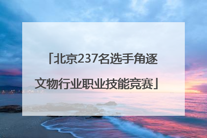 北京237名选手角逐文物行业职业技能竞赛