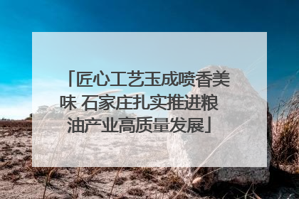 匠心工艺玉成喷香美味 石家庄扎实推进粮油产业高质量发展