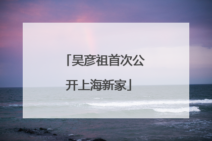 吴彦祖首次公开上海新家