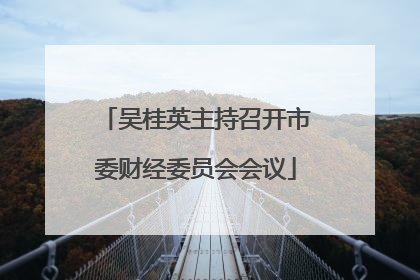 吴桂英主持召开市委财经委员会会议