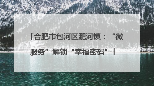 合肥市包河区淝河镇：“微服务”解锁“幸福密码”
