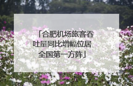 合肥机场旅客吞吐量同比增幅位居全国第一方阵