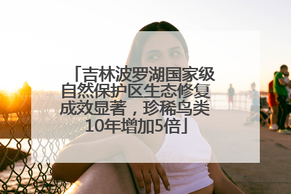 吉林波罗湖国家级自然保护区生态修复成效显著，珍稀鸟类10年增加5倍