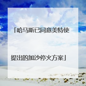 哈马斯已同意美特使提出的加沙停火方案