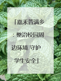 嘉禾普满乡：整治校园周边环境 守护学生安全