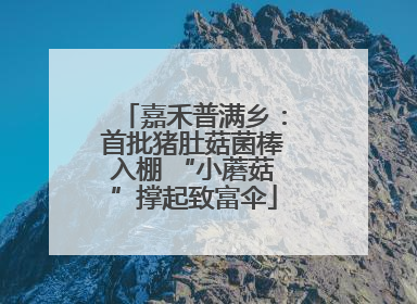 嘉禾普满乡：首批猪肚菇菌棒入棚 “小蘑菇”撑起致富伞