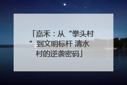 嘉禾：从“拳头村”到文明标杆 清水村的逆袭密码