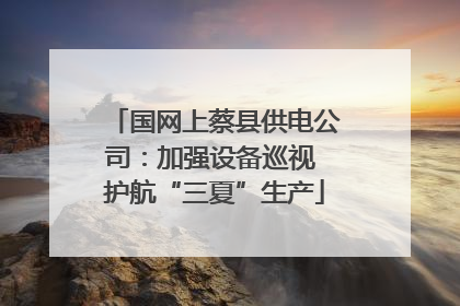 国网上蔡县供电公司：加强设备巡视 护航“三夏”生产