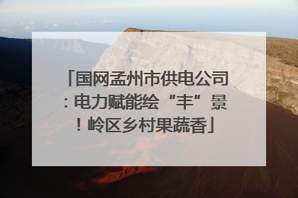 国网孟州市供电公司：电力赋能绘“丰”景！岭区乡村果蔬香