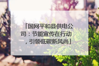 国网平和县供电公司：节能宣传在行动，引领低碳新风尚