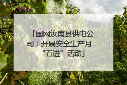 国网汝南县供电公司：开展安全生产月“五进”活动