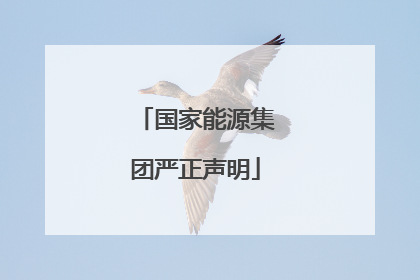 国家能源集团严正声明