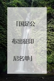 国足公布出征印尼名单