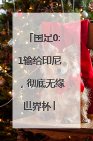 国足0:1输给印尼，彻底无缘世界杯