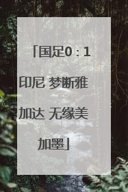 国足0∶1印尼 梦断雅加达 无缘美加墨