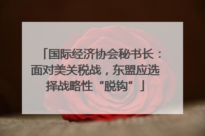 国际经济协会秘书长：面对美关税战，东盟应选择战略性“脱钩”