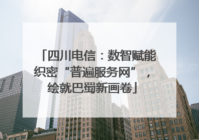 四川电信：数智赋能织密“普遍服务网”，绘就巴蜀新画卷