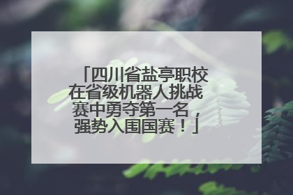 四川省盐亭职校在省级机器人挑战赛中勇夺第一名，强势入围国赛！