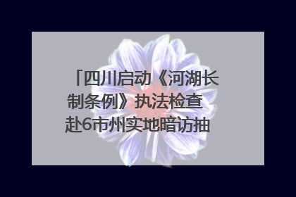 四川启动《河湖长制条例》执法检查 赴6市州实地暗访抽查｜四川人大之声