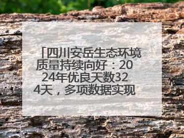 四川安岳生态环境质量持续向好：2024年优良天数324天，多项数据实现100%