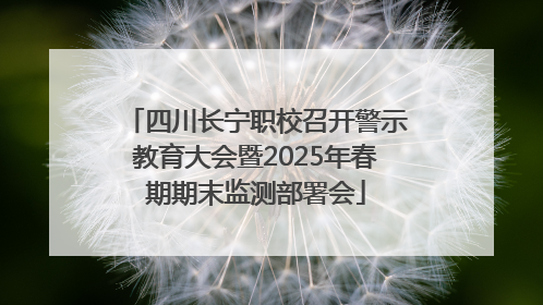 四川长宁职校召开警示教育大会暨2025年春期期末监测部署会