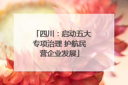 四川：启动五大专项治理 护航民营企业发展