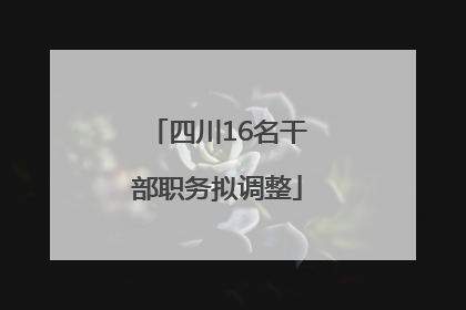 四川16名干部职务拟调整