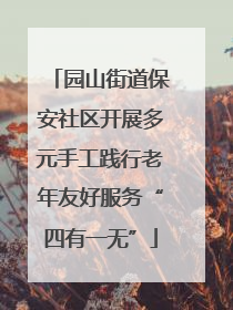 园山街道保安社区开展多元手工践行老年友好服务“四有一无”