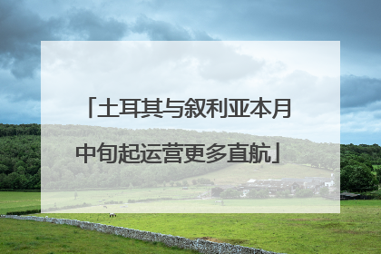 土耳其与叙利亚本月中旬起运营更多直航